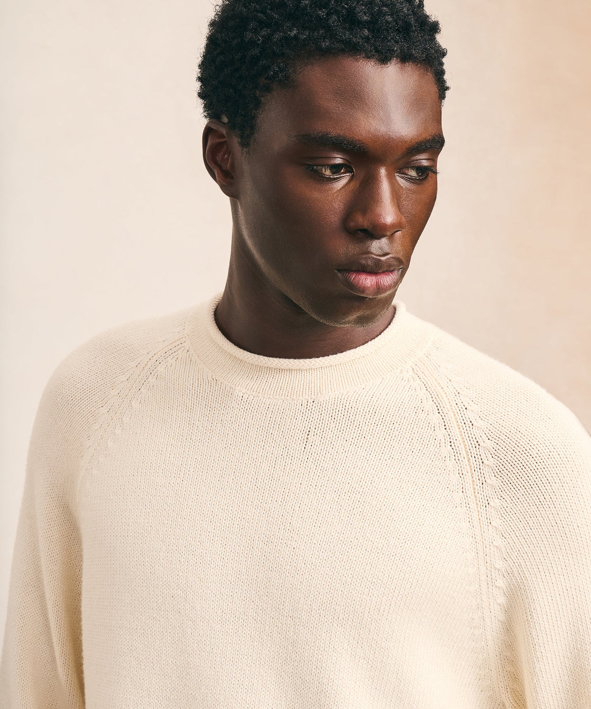 Cotton Relaxed Rollneck Sweater